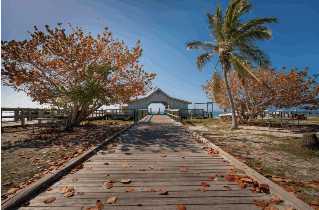 Fall weddings in central florida